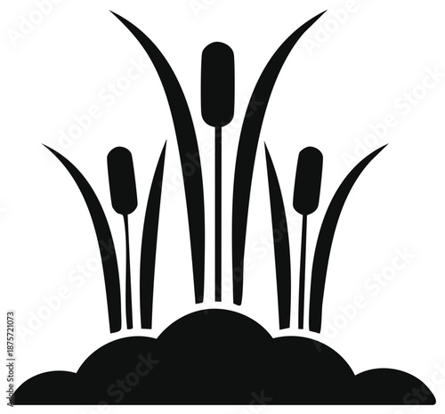 Silhouette Cattails Growing in a Pond, Wetland Plant with Tall Blades, Symbolizing Marsh Ecosystems and Natural Elements