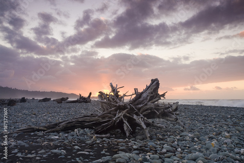 View of driftwood resting on a rocky beach under a sky painted with hues of purple and orange at sunset, Christchurch, West Coast Region, New Zealand.