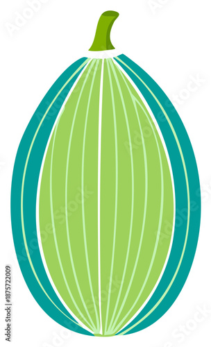 Stylized Green Summer Squash, Vertical Illustration of an Oblong Gourd Vegetable