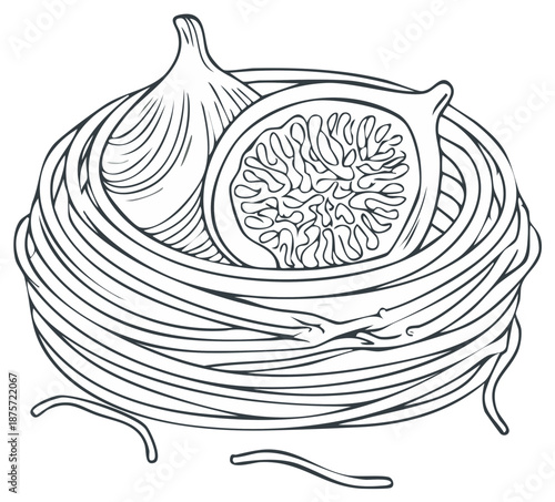Hand drawn sketch of fresh figs nestled in a tagliatelle pasta nest