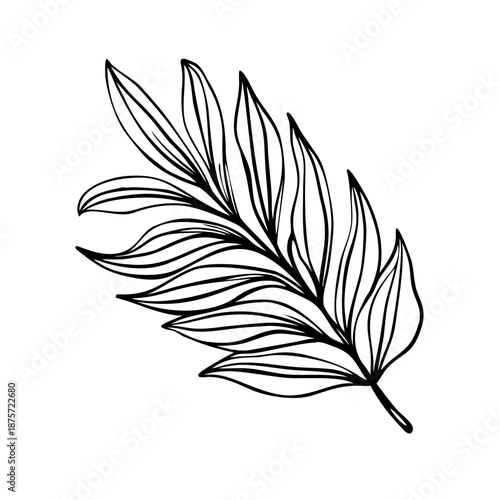 Black and white leaf illustration