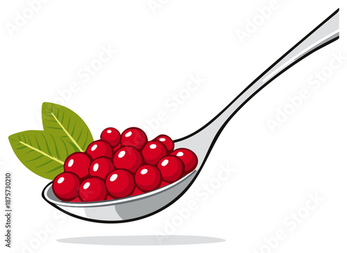 Red berries on a spoon with green leaves. Delicious food for menu design.