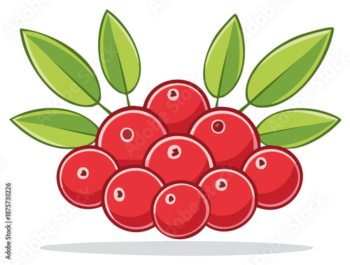Vibrant Red Cranberries with Fresh Green Leaves Illustration