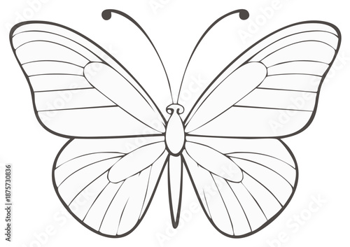 Symmetrical butterfly line art illustration. Simple black and white insect drawing for coloring book or creative design.