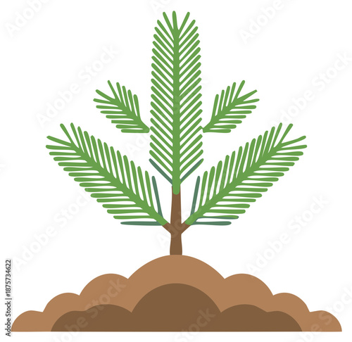 Simple illustration of a new pine sapling growing in a mound of soil