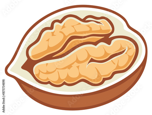 Detailed illustration of a walnut half revealing its healthy brain like kernel a nutritious snack