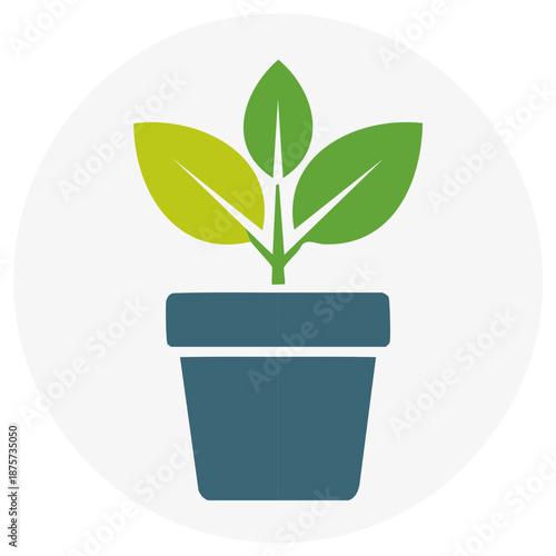 Graphic illustration of a houseplant with green and yellow leaves in a blue pot.