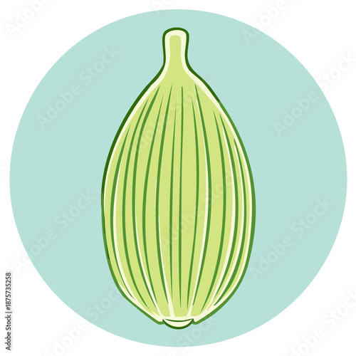 Stylized illustration of a cardamom pod on a light blue circle background, for culinary or botanical themes.