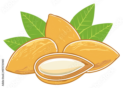Almond Nut Group with Leaves Cartoon Style Healthy Food Vegan Ingredient