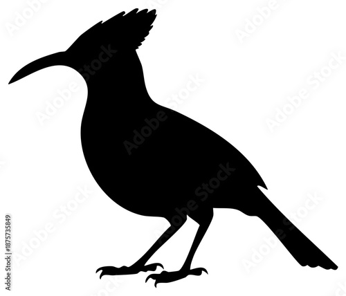Black silhouette of a bird with a long curved beak and crest standing on its legs