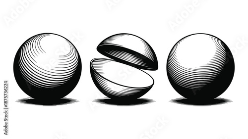 Engraved style of three eggs one cracked open whole