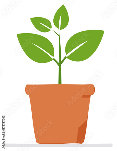 Fresh green plant growing inside a terracotta pot indoor simple vector illustration