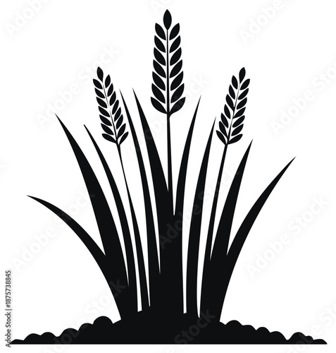 Wheat stalks silhouette with grain representing agriculture food and harvest