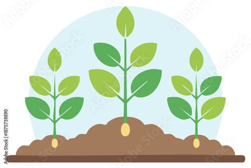 Illustration of three young green plants sprouting from seeds in the soil concept of new growth and agriculture