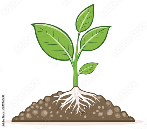 Green plant seedling with roots growing in soil illustration of new life and nature