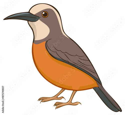 Stylized illustration of a European robin with warm orange breast and brown wings