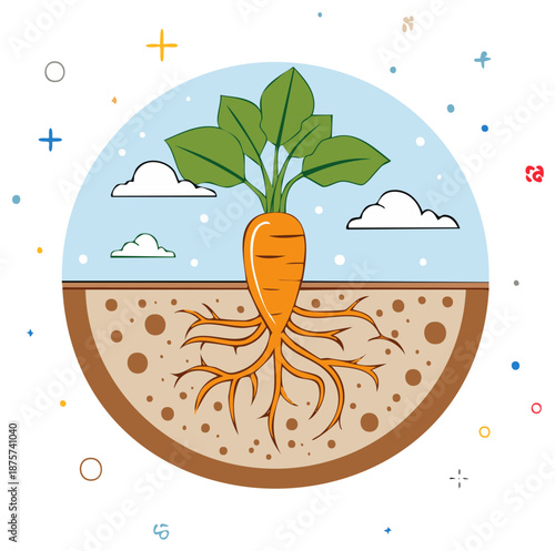 Illustration of a carrot plant with visible roots and leaves in the ground.