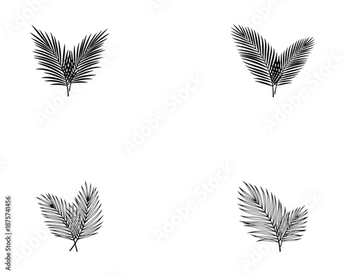 Tropical Palm Leaf Silhouette and Botanical Line Art Vector Set