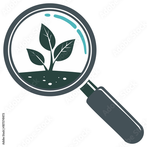 Magnifying glass focusing on a green plant sprout growing from soil concept