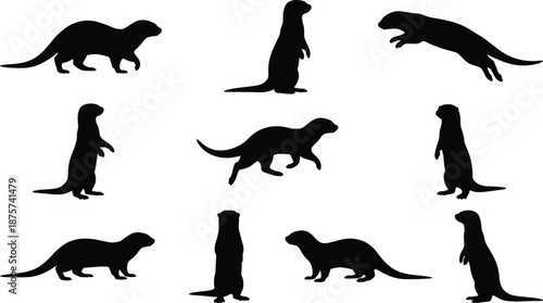 Black otter silhouette set showing different poses like standing, running, swimming and jumping, wild animal vector icons collection isolated on white background.