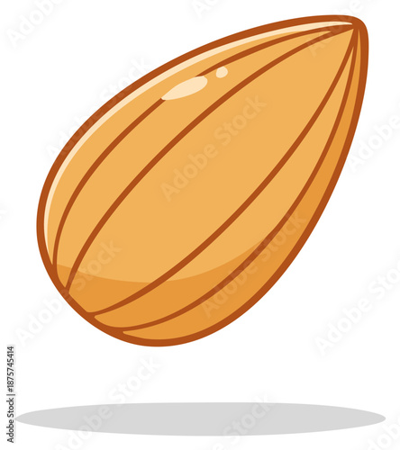 Stylized Almond Illustration