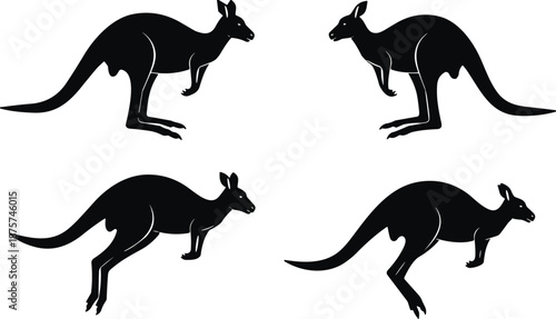 Black kangaroo silhouettes in standing and jumping poses, Australian wildlife animals, marsupial icons isolated on white background, nature and travel themes,