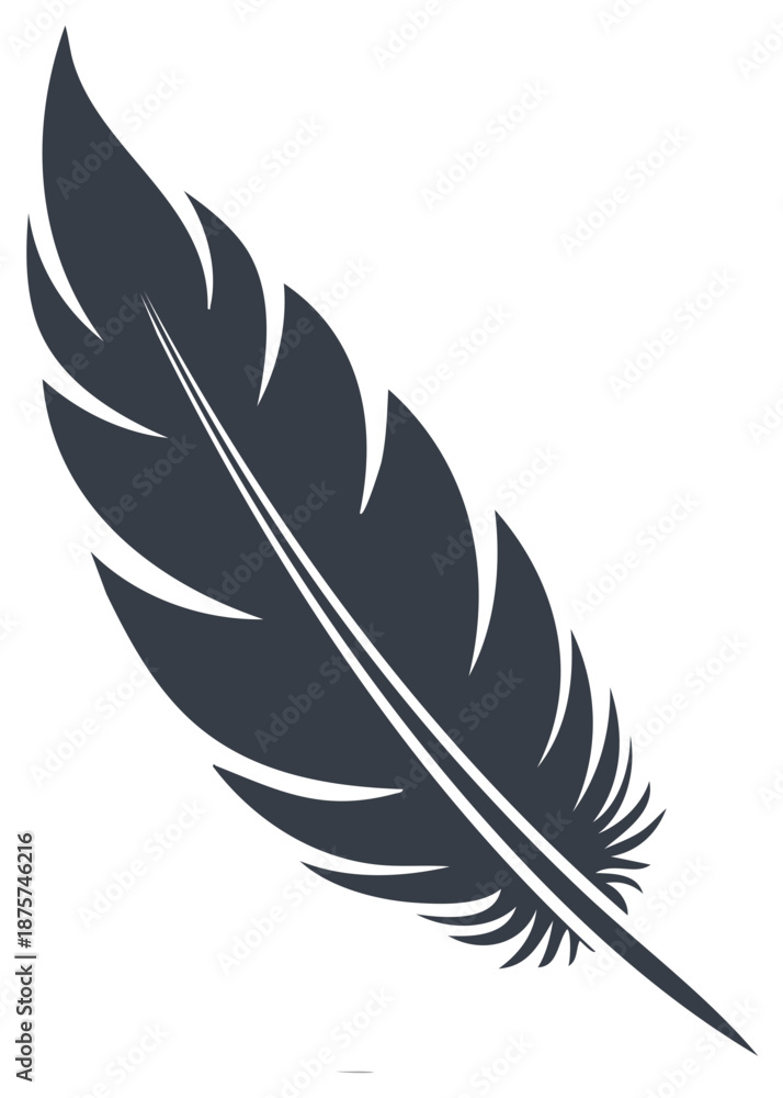 Fototapeta premium Detailed feather graphic illustration with quill, and barbs element