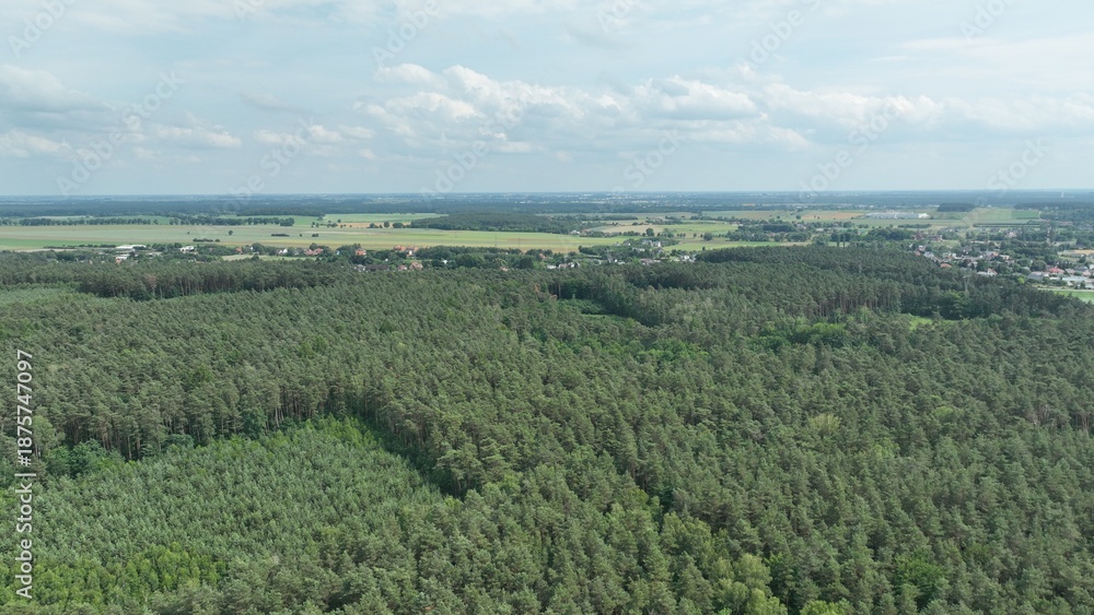 Fototapeta premium Aerial View of Expansive Forest and Open Fields