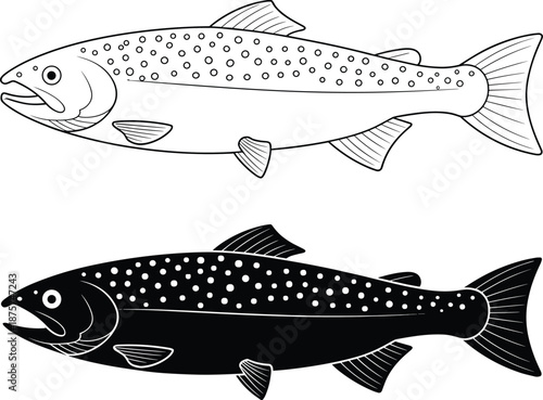 Trout fish illustration in outline and solid styles, black and white vector artwork showing freshwater fish anatomy for fishing, wildlife, and nature design