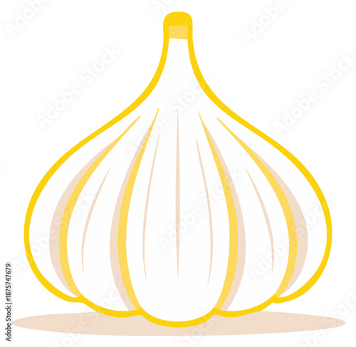 Simple vector illustration of a garlic bulb Fresh food ingredient for cooking and seasoning