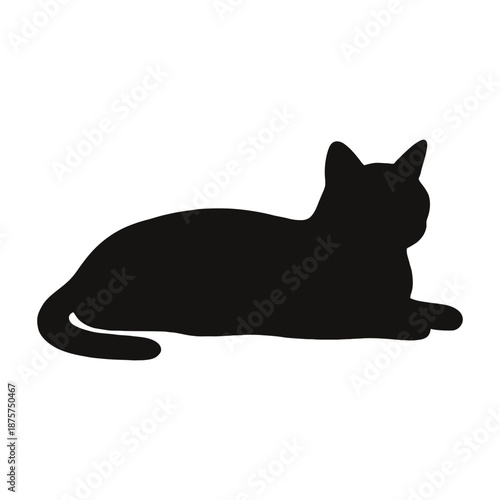 Silhouette of a relaxing cat