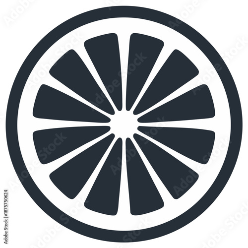 Clean graphic illustration of a dark gray circular fruit segment with internal sections