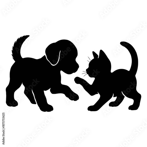 Playful puppy and kitten