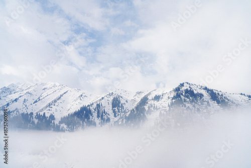 Photos Snowy Dattarigal Mountains in Kazakhstan with Misty Forests