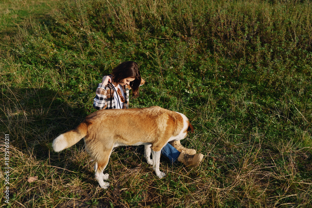 Fototapeta premium Person crouching beside a dog in a grassy field, enjoying nature during an outdoor stroll, casual clothing, warm sunlight, peaceful countryside moment