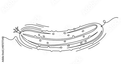Minimalist line art of a cucumber with simple contour details. No editable strokes
