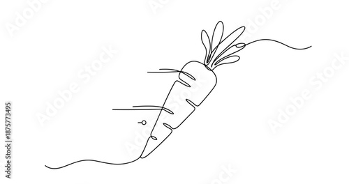 Minimalist line art of a carrot featuring smooth curves and simple design. No editable strokes