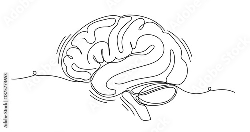 Continuous line drawing of human brain with detailed neural pathways, no editable stroke