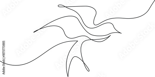 Graceful birds in flight Vector