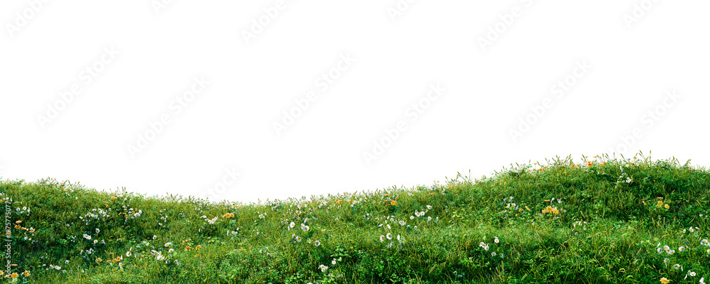 Naklejka premium Green grass hill with flowers 