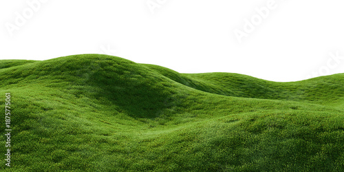 Green grass hills