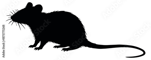 Graphic illustration of a rat depicting a standing profile for various animal designs