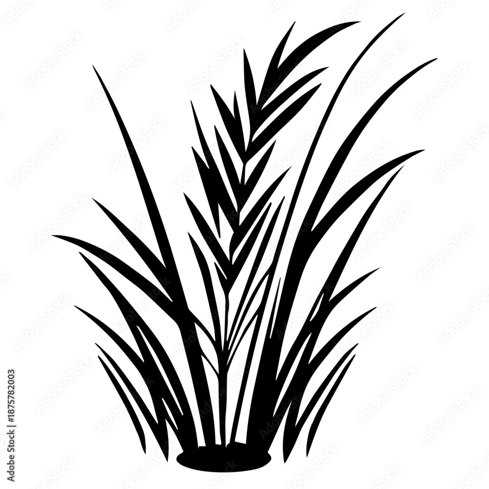 Obraz premium Vector illustration of green wheat ears and organic grass leaves isolated on white nature background for agriculture and floral design