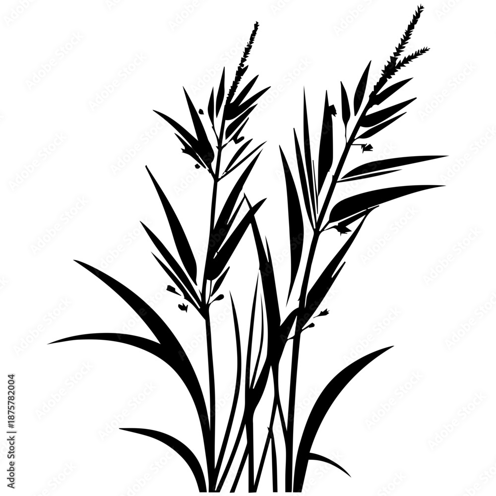 Obraz premium Vector illustration of fresh green bamboo leaves and plant branches isolated on white background for nature inspired floral design decoration
