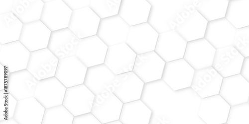 Abstract background with hexagon, modern abstract vector polygonal pattern. Futuristic honeycomb mosaic white background, white and gray hexagon honeycomb geometric copy space.	
