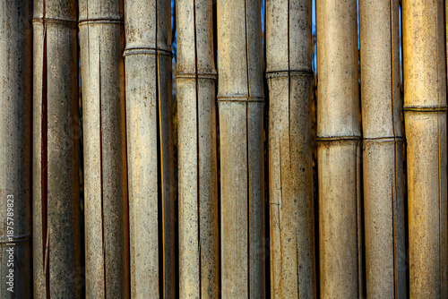 Bambu' Pattern Staccionata