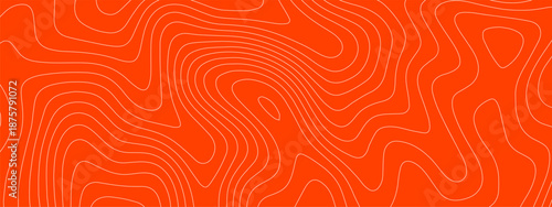 Salmon tuna bg for sushi meat fish and pattern texture abstract. Peach seafood food for icon marble salmon and red vector cooking. Salmon fresh raw for sushi structure tuna and meat strip background.