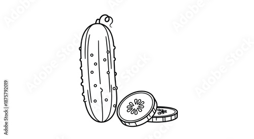 Fresh green cucumber with whole fruit and two round slices shown in a simple black and white line art style.