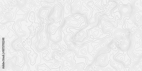 Abstract Monochrome Terrain Topography Line Map with Smooth Continuous Curves
Stylized Height Contours Designed as a Seamless Repeat Background Texture