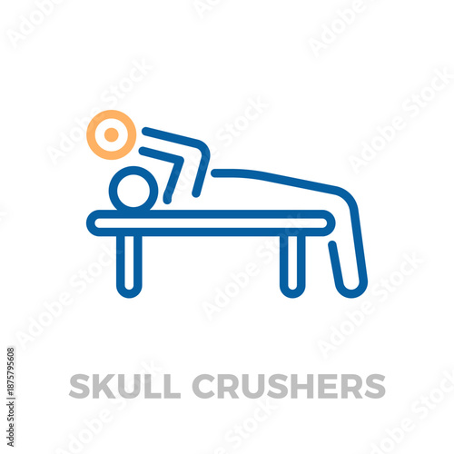 Person lying on a bench lifting weights, illustrating the skull crushers triceps exercise. Fitness and gym workout concept. Vector thin line icon illustration with editable stroke